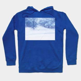 Winter scene in pale blue Hoodie